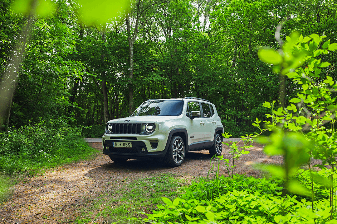 Jeep-Renegade-Forrest